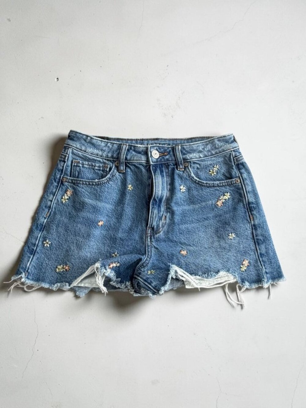 AMERICAN EAGLE Floral Embroidered Denim Shorts Size US 2